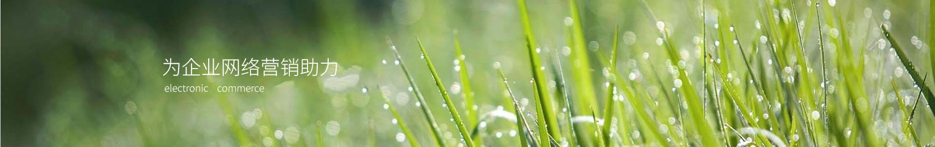 ԪɻƼ޹˾